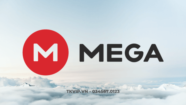 MEGA Pro Lite (1 năm)